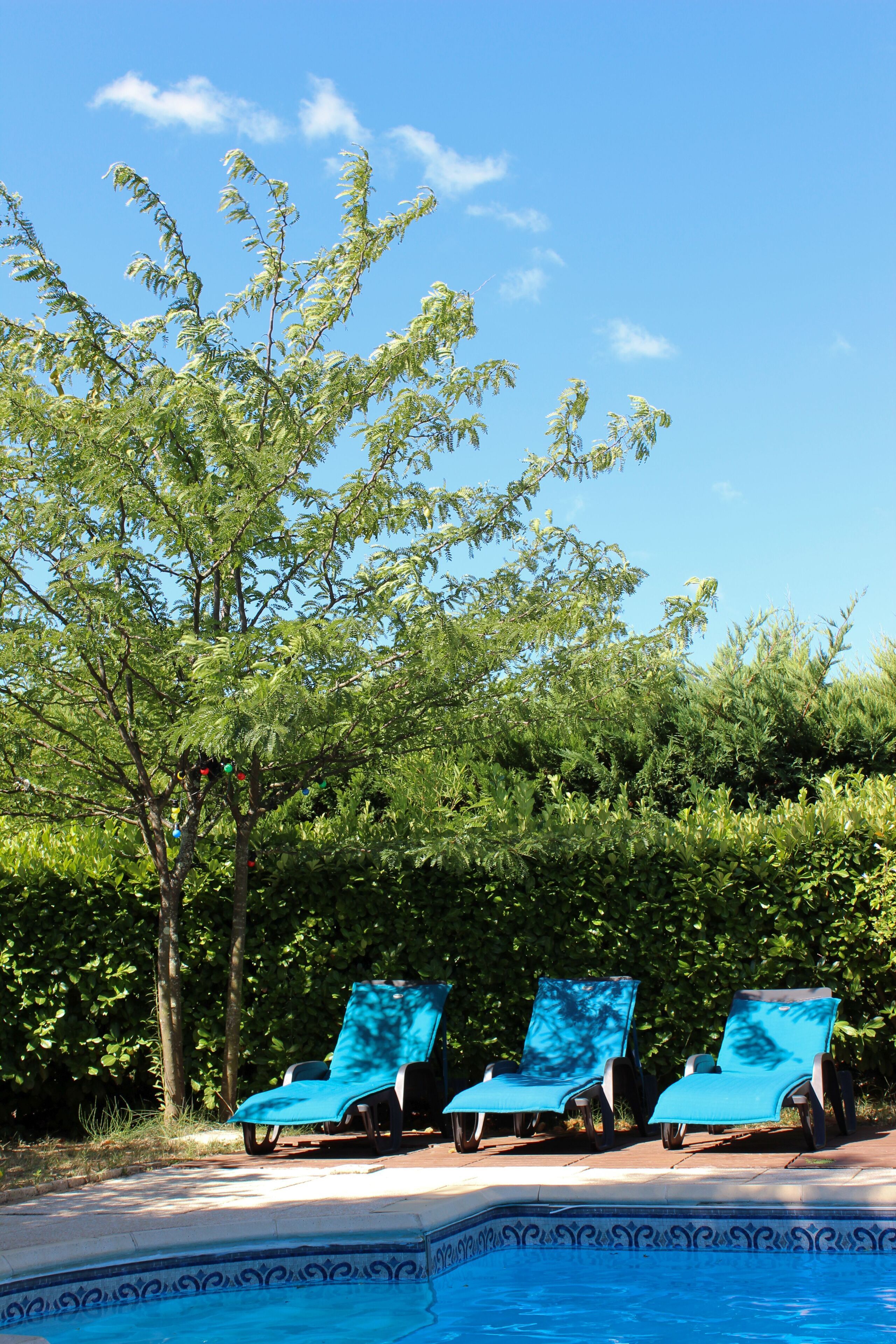 Un espace aménagé au bord de la piscine, avec trois chaises longues bleues et un bord de piscine décoratif.
