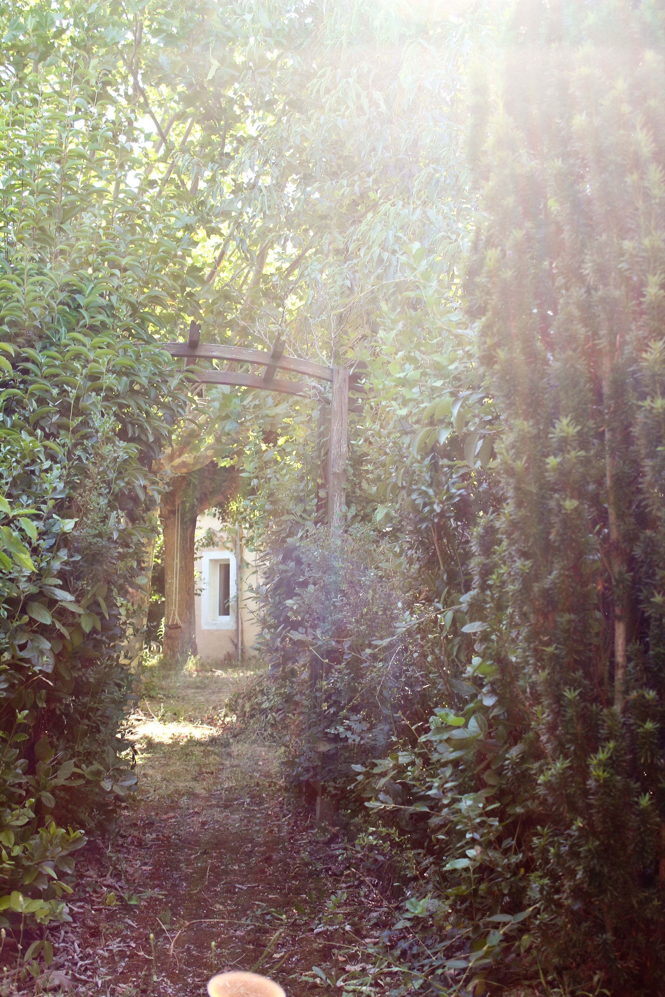 A garden pathway leading to a wooden structure with a window, surrounded by dense foliage.