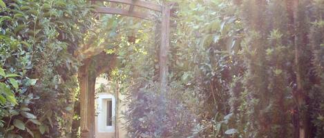 A garden pathway leading to a wooden structure with a window, surrounded by dense foliage.