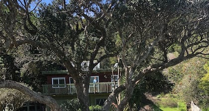 Moana Cove Lodge - cottage unit Kereru Cottage