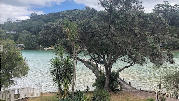Un grand arbre, avec une jetée en bois qui s’avance sur un lac, entouré d’une végétation luxuriante et avec des collines en arrière-plan.