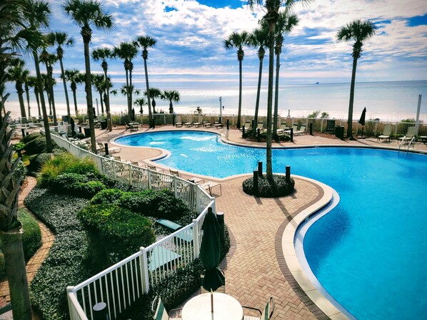 Une piscine au design incurvé, entourée de palmiers et offrant une vue sur la plage.