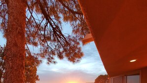 Vue d’un coucher de soleil depuis l’extérieur d’un bâtiment, avec une terrasse dallée et un arbre en évidence.
