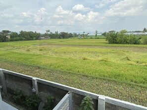 Utsikt fra overnattingsstedet