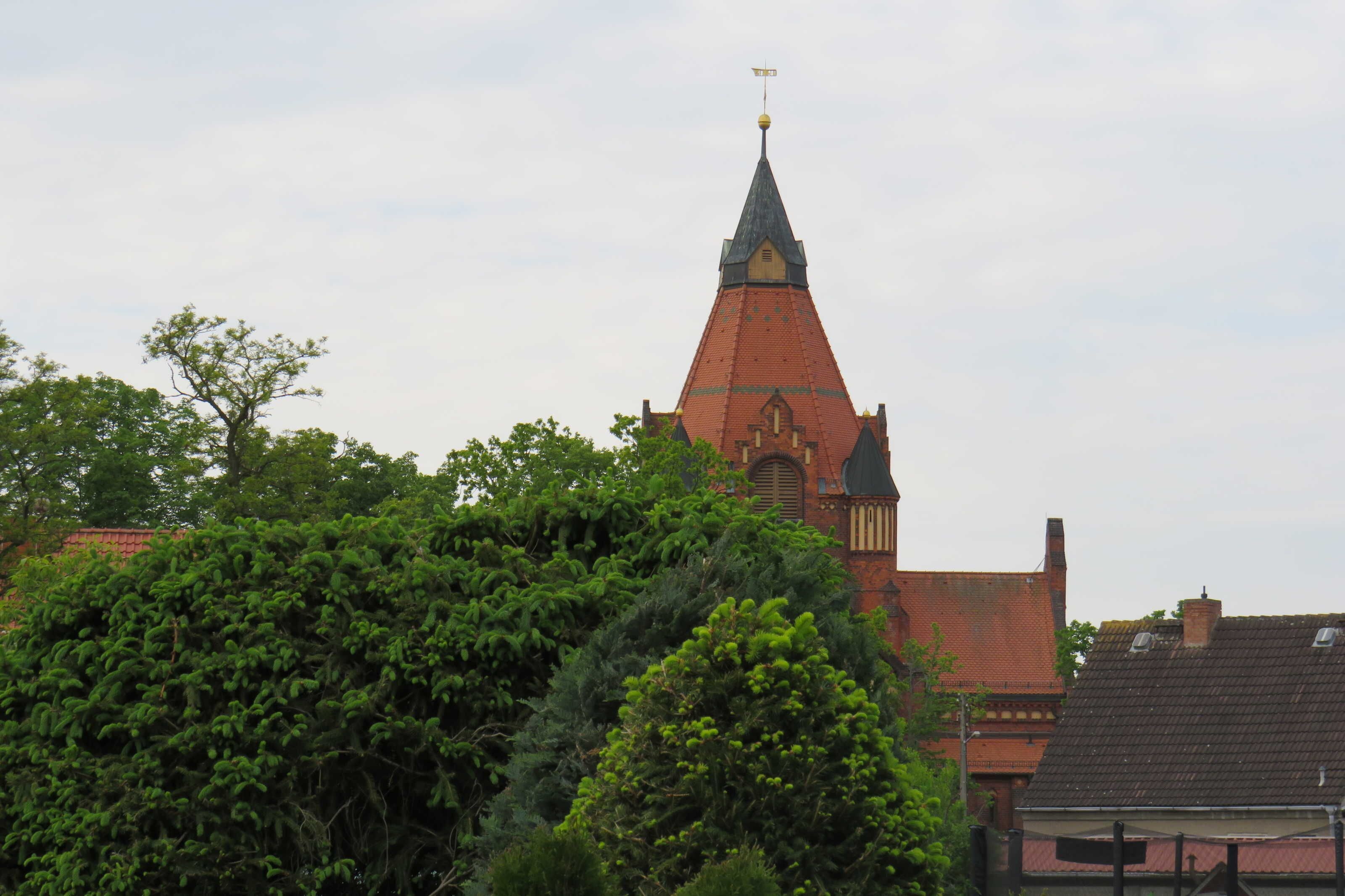 A church with a prominent steeple and a red roof, surrounded by dense green foliage.