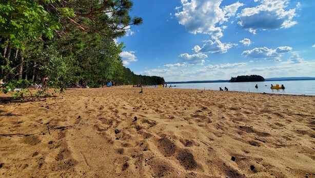 A sandy beach with trees and a clear sky.