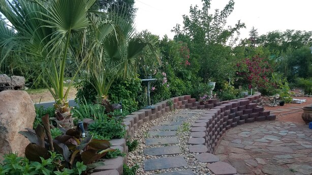 Een tuinpad met staptegels, omringd door diverse planten en een bakstenen muur.