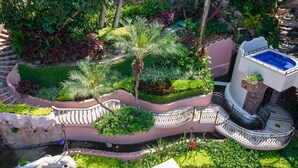 A lush garden with a pool, stone steps, and a fountain.