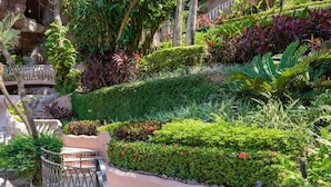 A lush garden with various plants and a stone bench. - Rent the Entire Floor at Luxury Resort: 5th Floor Suites Spectacular Ocean Views (Puerto Vallarta)