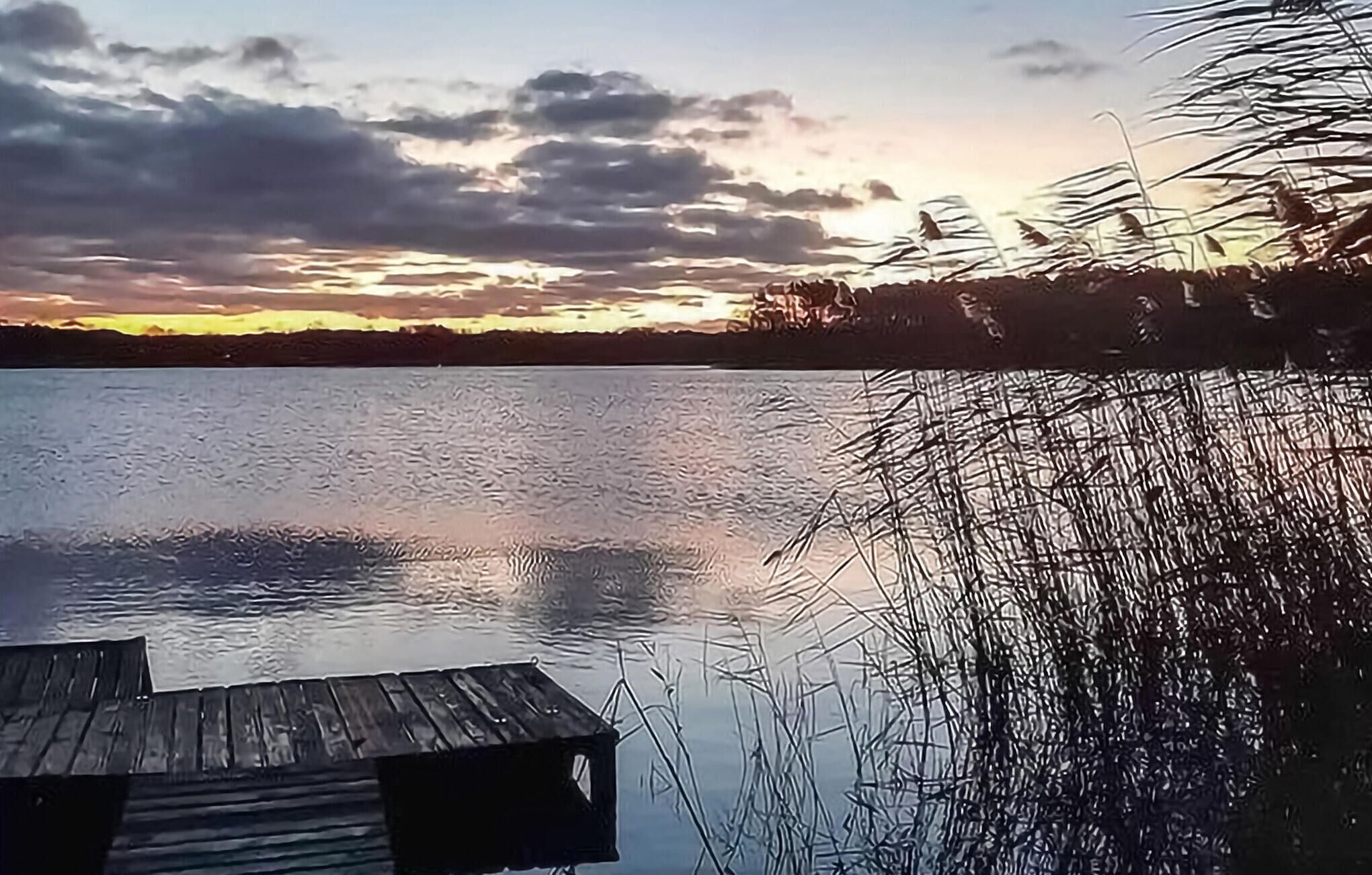 A wooden dock extending into a calm lake with reeds on the right.