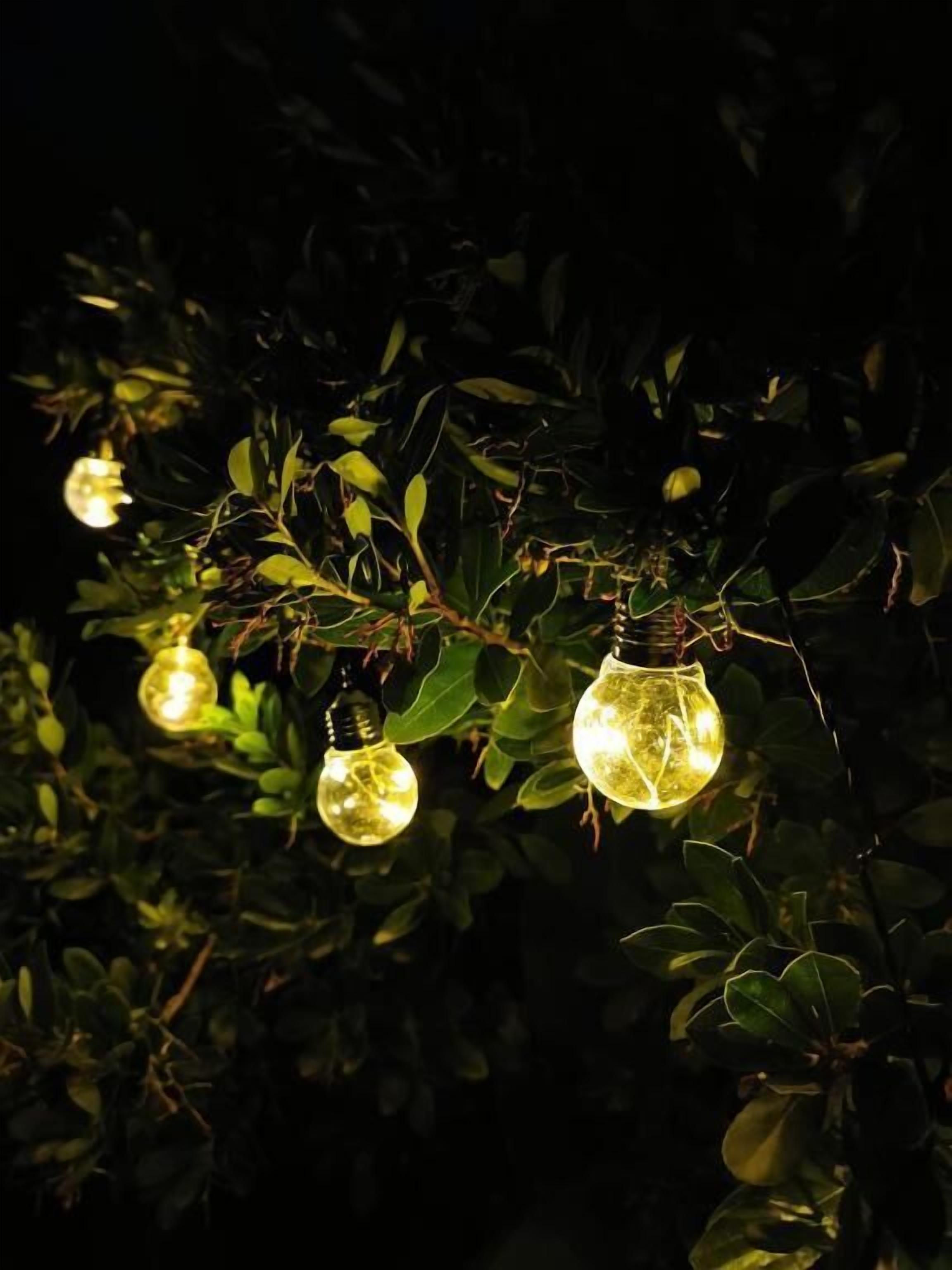 A tree with spherical light fixtures hanging from its branches.