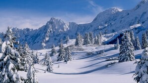 Eine verschneite Berglandschaft mit Bäumen und blauem Himmel.