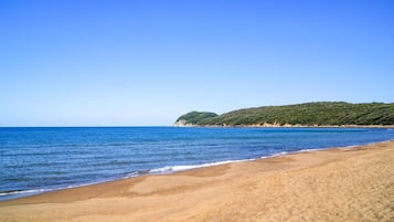 Una spiaggia nelle vicinanze, pesca