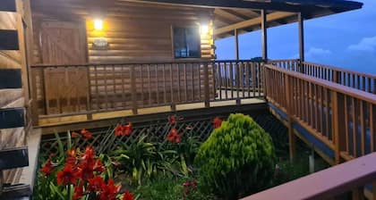 THE CABIN OF THE LILIES. NEAR VOLCANO IRAZU AND TURRIALBA. 100 MEGAS-