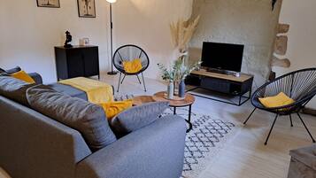 Télévision, cheminée, livres