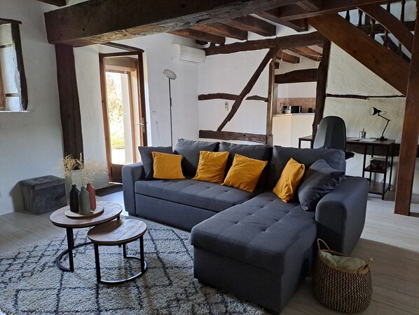 TV, fireplace, books - La Chaumière de Chabine (OIZON)