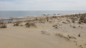 A beach with sand dunes and sparse vegetation. - RENOVATED IN 2024, OCEAN BLOCK CHARMER - 12 CLAYTON ST,  DEWEY BEACH, DE (Dewey Beach)