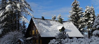 Vacation home in the forest near the Rennstein