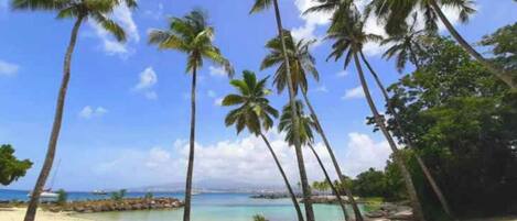 Plage à proximité