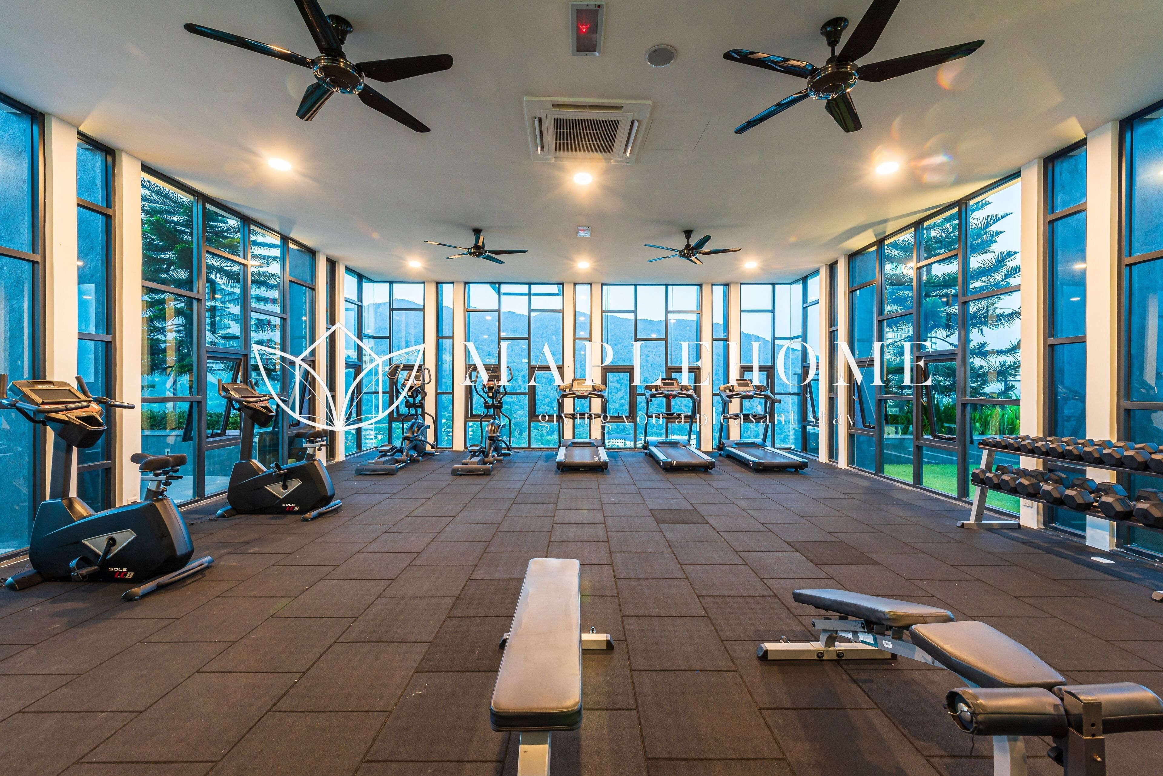 A gym with exercise equipment, large windows, and ceiling fans.