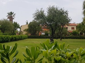 المنطقة المحيطة بالمنشأة