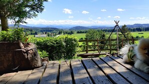 Ein Hund auf einem Holzboden mit einem malerischen Blick auf eine grüne Landschaft und Berge im Hintergrund.
