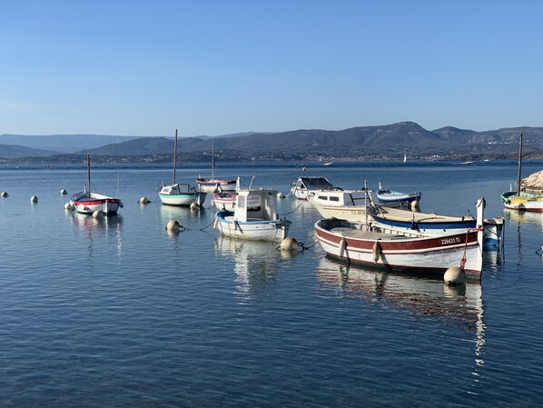 Un port de plaisance où plusieurs bateaux sont amarrés.