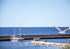 Jachthaven