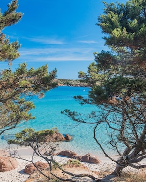 Une plage bordée d’une eau turquoise et limpide, entourée de pins et de formations rocheuses.