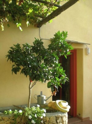 Dettaglio esterni