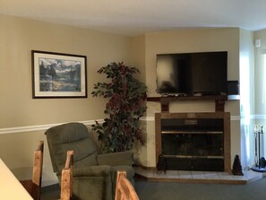 Smart TV, fireplace, books