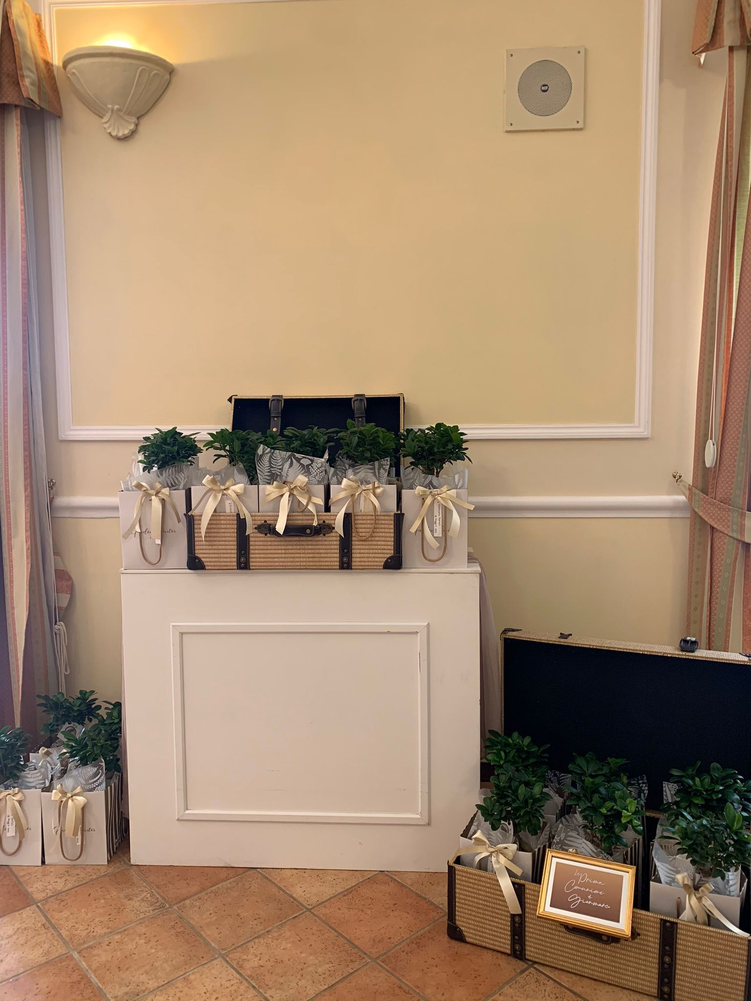 Un área de recepción con un mostrador blanco, plantas en macetas y cestas decorativas.