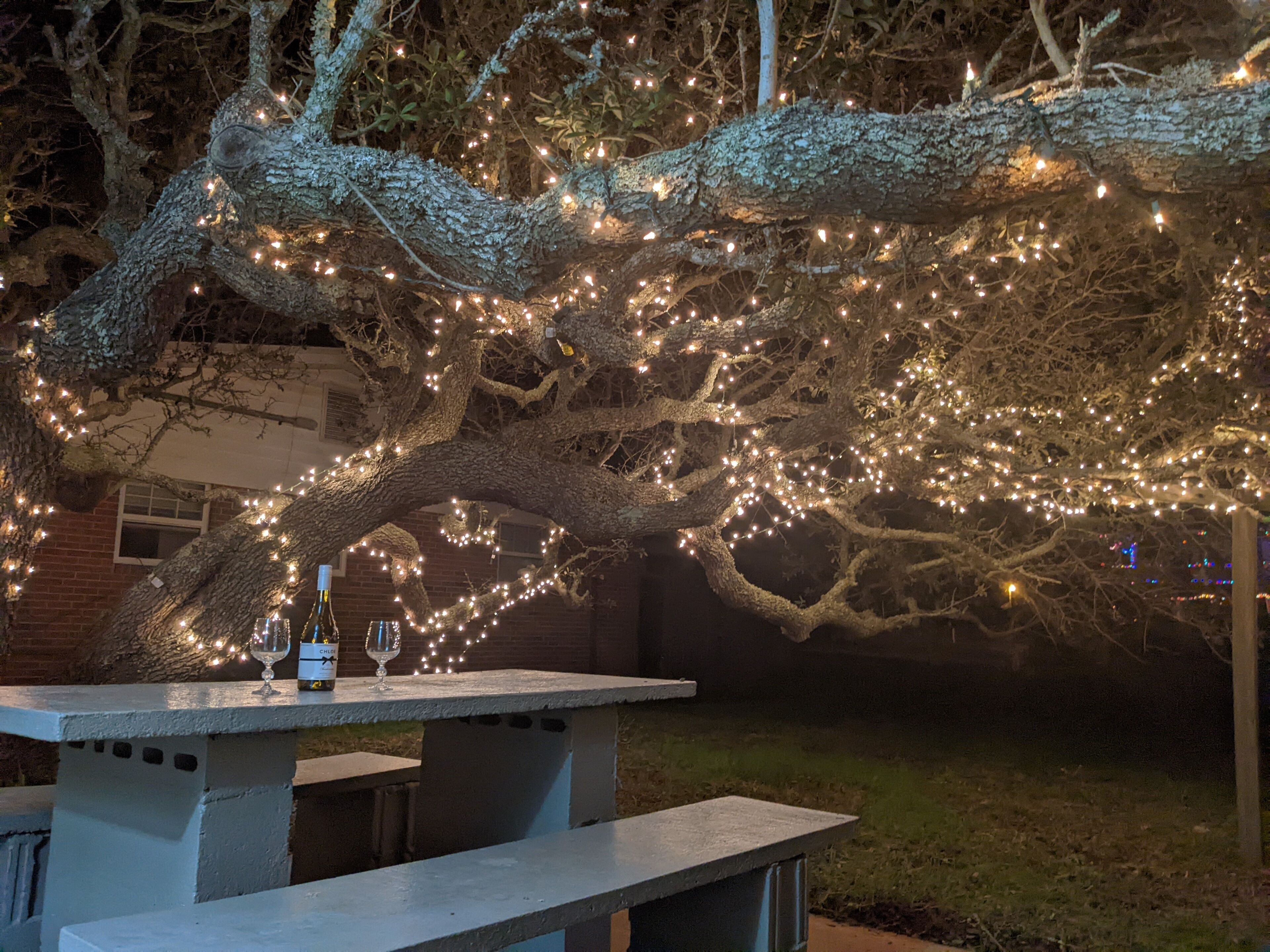 屋外ダイニングエリア