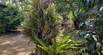 Island Home within the Pines and Palms; Kayaks, Bikes, and Inviting Porches~
