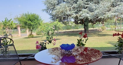 B&B Cedro Argentato