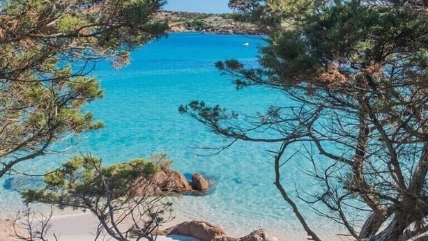 A coastal landscape with clear turquoise waters, rocky shoreline, and pine trees framing the view.