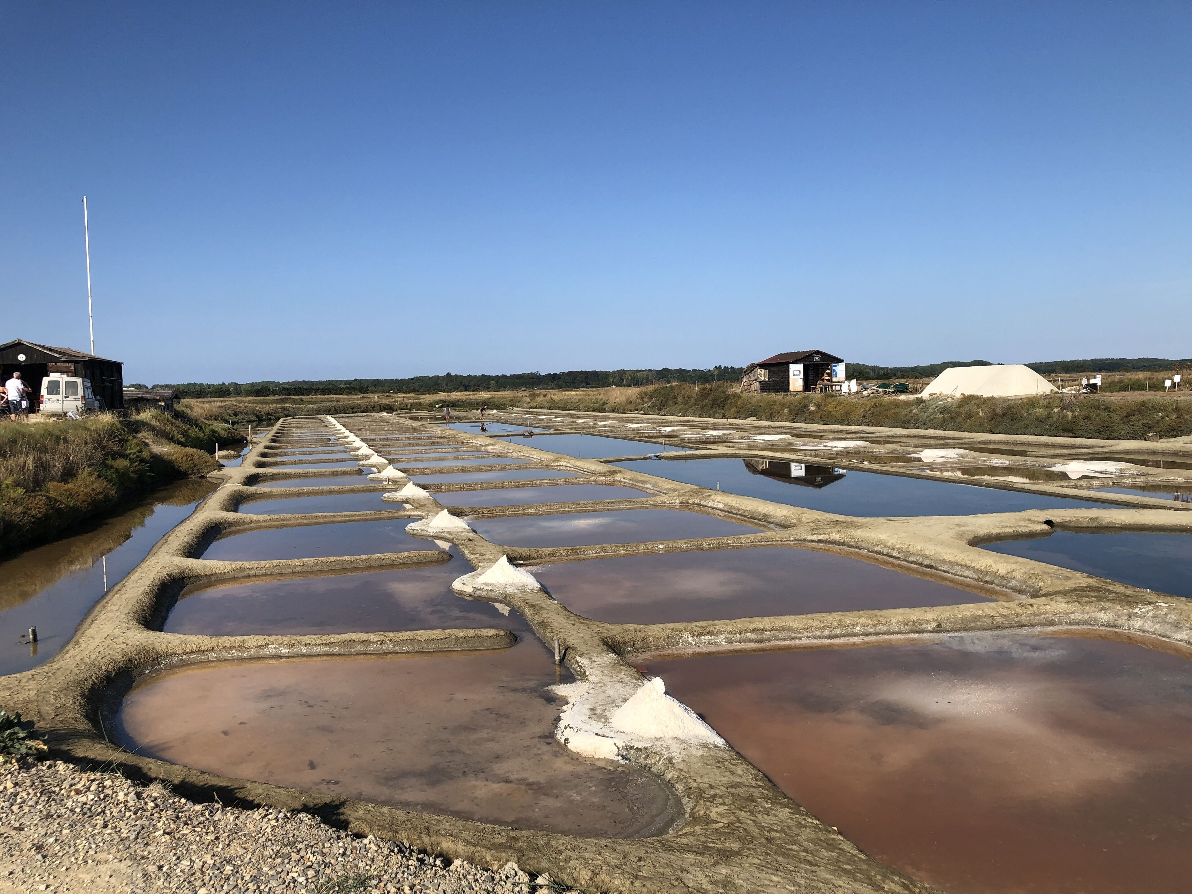 A series of rectangular water tanks with a gravel path leading to a building.
