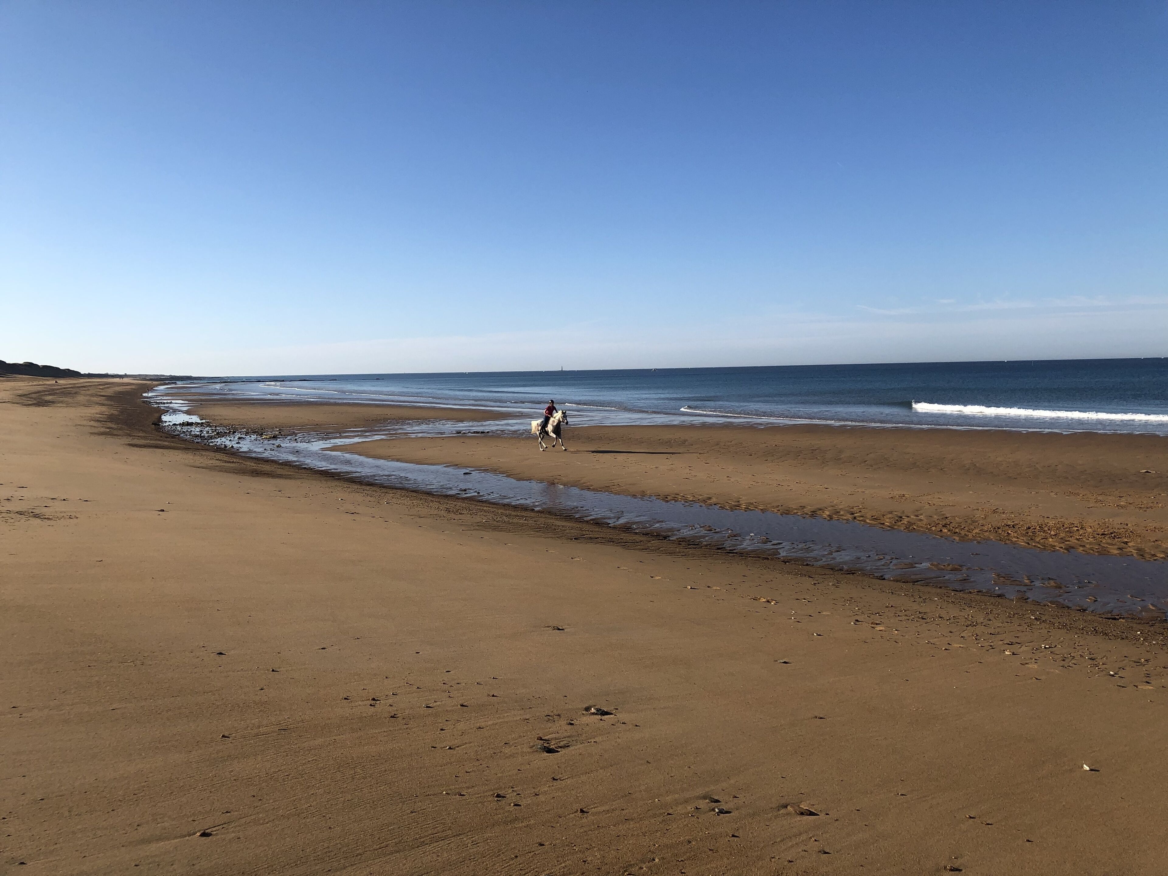 A wide sandy beach with gentle waves, a clear sky, and a person riding a horse.