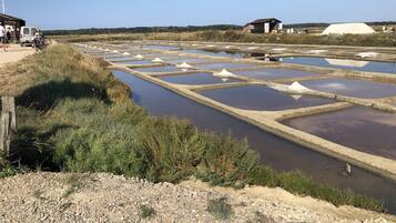 Een zoutvlakte met rechthoekige poelen en witte heuveltjes, omringd door schaarse begroeiing en een paar gebouwen op de achtergrond.