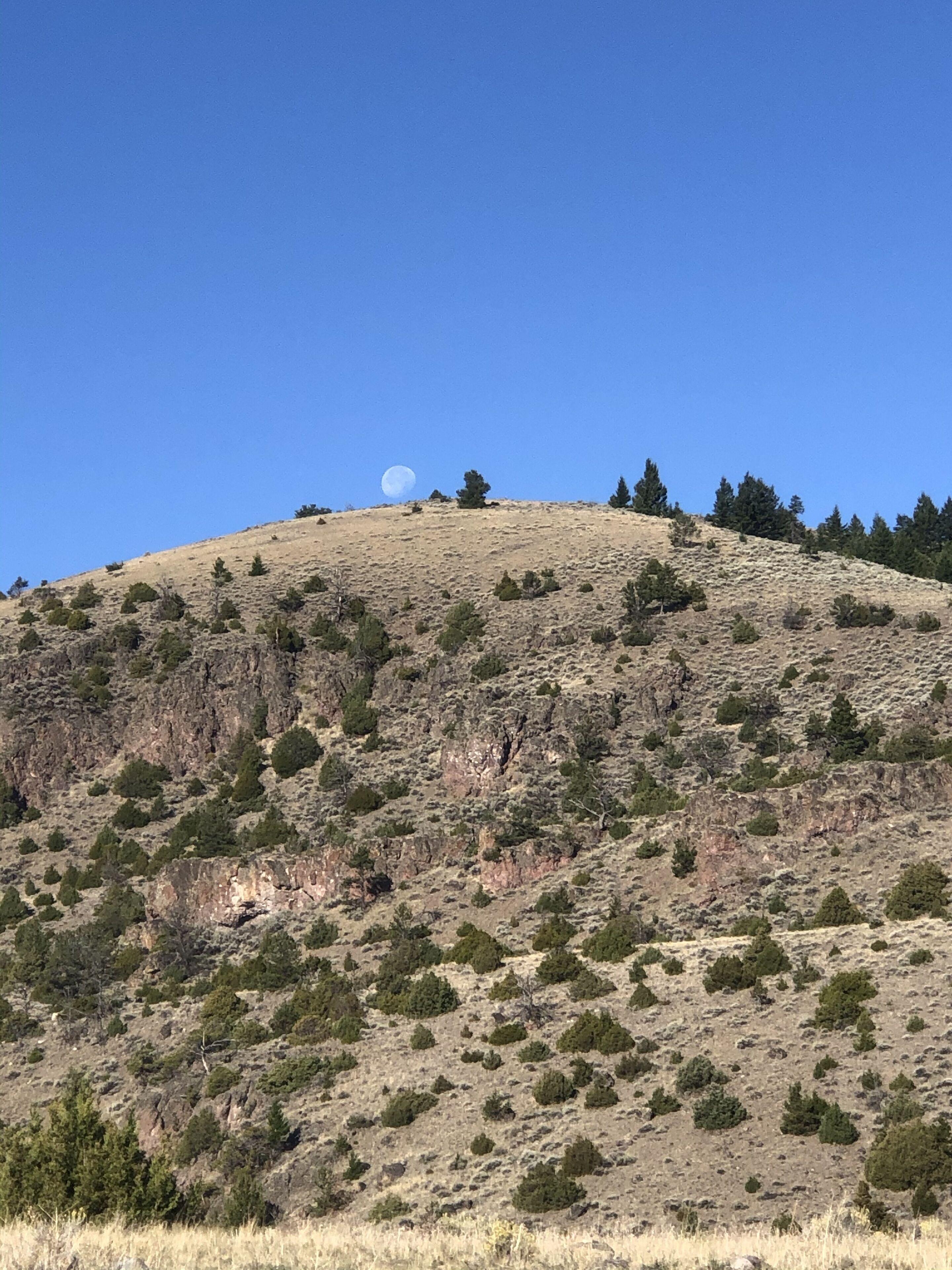 A hill with sparse vegetation and a clear sky.