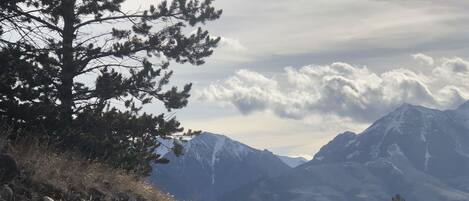 A mountainous landscape with a prominent pine tree and rocky terrain.