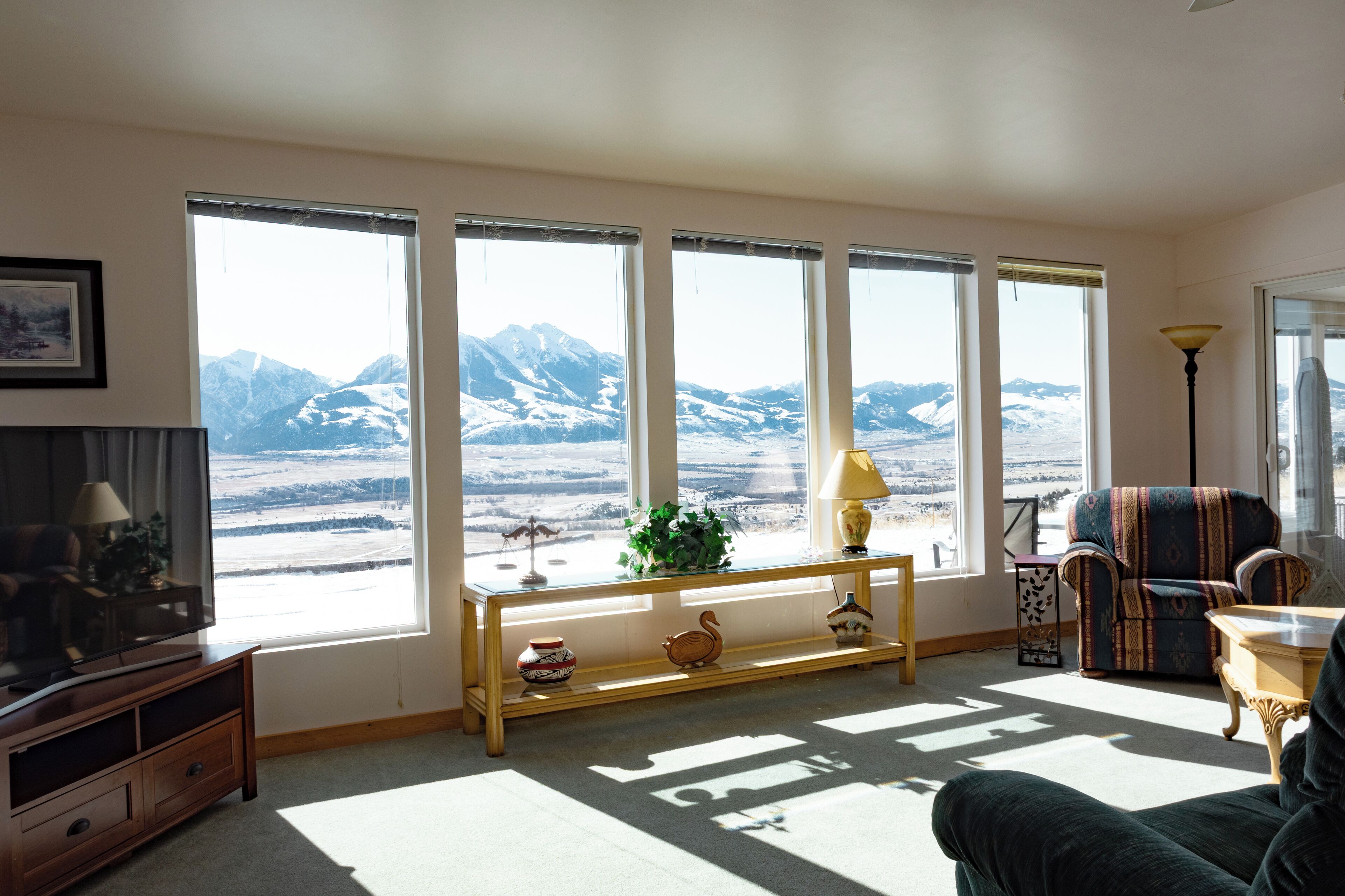 Smart TV, DVD player, books, video library