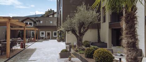 A courtyard with outdoor seating, a pergola, and a palm tree.