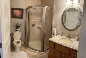 Combined shower/tub, hair dryer