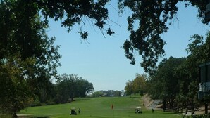 Campo de golf con bandera, árboles y cielo despejado.
