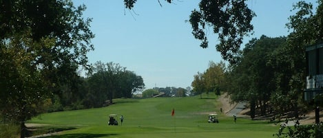A golf course with a flag, trees, and a clear sky.