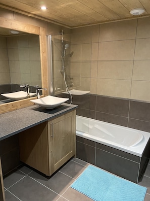 Bathtub, hair dryer, toilet paper