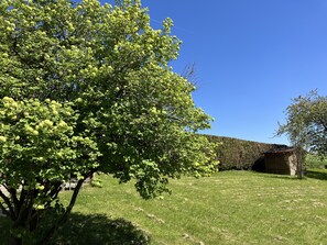 Property grounds - Rural gîte near Colombey les deux églises (Lavilleneuve-au-Roi)