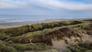 A coastal landscape with dunes and a beach.