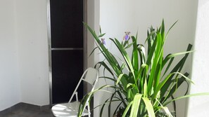 Uma planta em vaso com folhas verdes e flores roxas num canto, junto a uma cadeira branca.